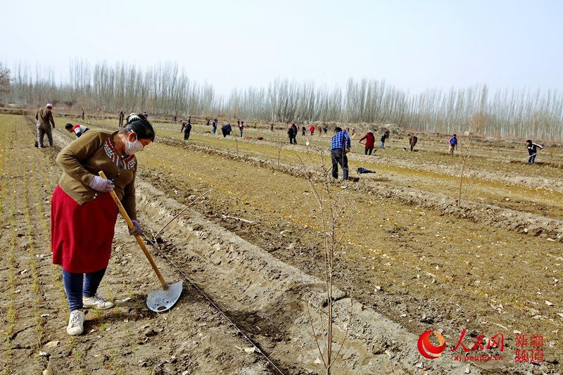 ܇а悆̿˹̹g^၆Ρ z