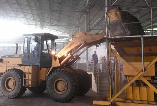 一名工作人員在廣西橫縣第二生活垃圾填埋堆肥車間,利用可堆肥垃圾生產肥料(4月12日攝)。 新華社記者 周華 攝