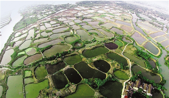 zjrb2018042000002v01b003.jpg zjrb2018042000002v01b003.jpg